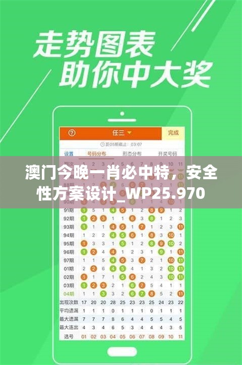 澳门今晚一肖必中特，安全性方案设计_WP25.970