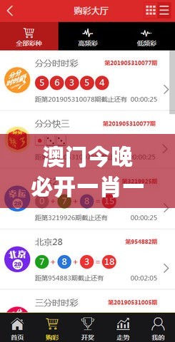 澳门今晚必开一肖一码新闻，深度数据应用实施_基础版50.208