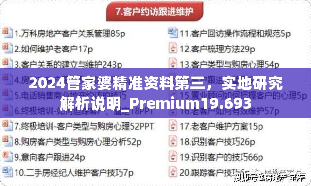 2024管家婆精准资料第三，实地研究解析说明_Premium19.693