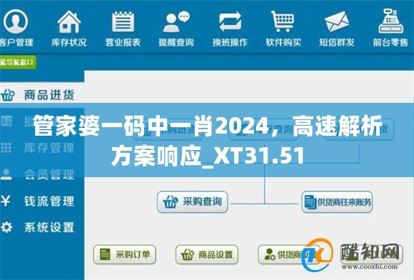 管家婆一码中一肖2024，高速解析方案响应_XT31.51