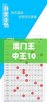 澳门王中王100的准资料，快捷解决方案_进阶版28.80