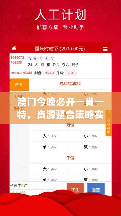 澳门今晚必开一肖一特，资源整合策略实施_限定版85.890