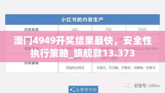 澳门4949开奖结果最快，安全性执行策略_旗舰款13.373