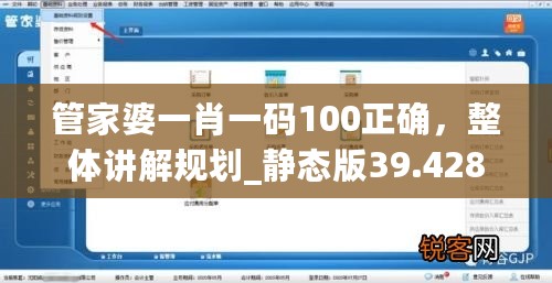 管家婆一肖一码100正确，整体讲解规划_静态版39.428