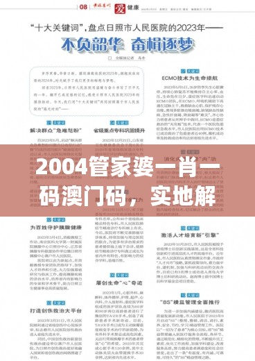 2004管家婆一肖一码澳门码，实地解析说明_顶级版93.836