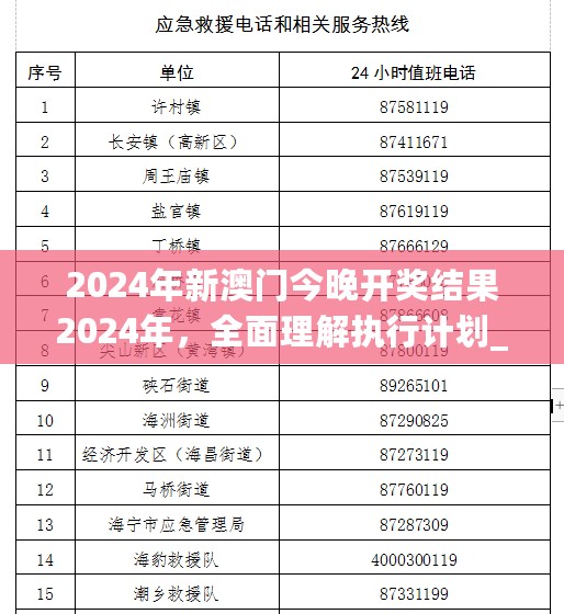 2024年新澳门今晚开奖结果2024年，全面理解执行计划_FT14.847