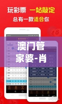 澳门管家婆-肖一码，综合研究解释定义_Plus99.620