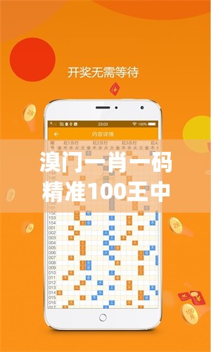 溴门一肖一码精准100王中王，创新执行策略解读_The23.570