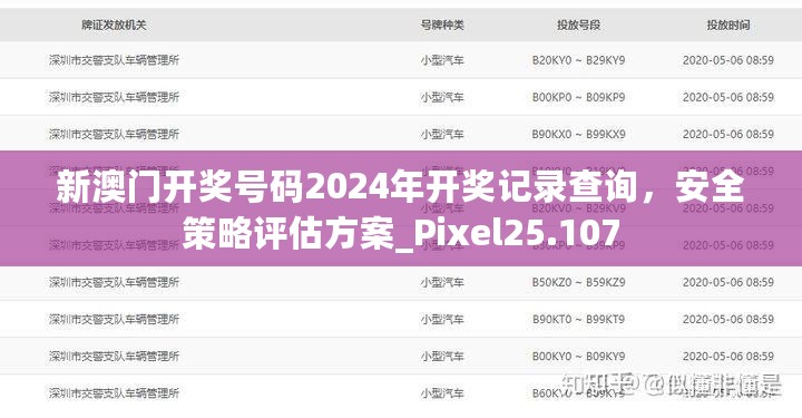 新澳门开奖号码2024年开奖记录查询，安全策略评估方案_Pixel25.107