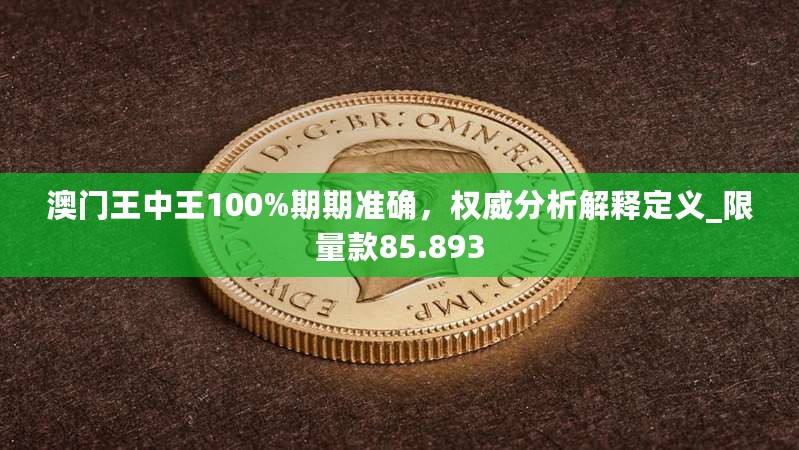 澳门王中王100%期期准确，权威分析解释定义_限量款85.893