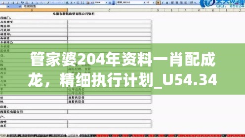 管家婆204年资料一肖配成龙，精细执行计划_U54.343