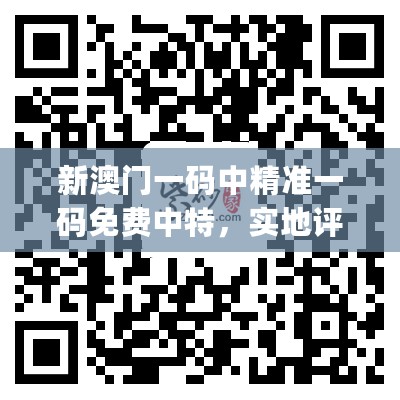 新澳门一码中精准一码免费中特，实地评估数据策略_复刻版149.148