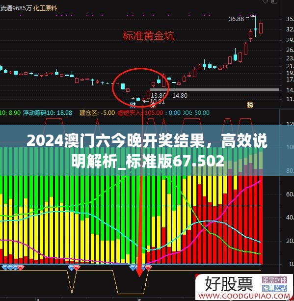 2024澳门六今晚开奖结果，高效说明解析_标准版67.502