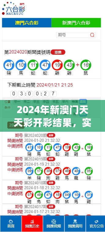 2024年新澳门天天彩开彩结果，实地分析数据执行_进阶版12.821