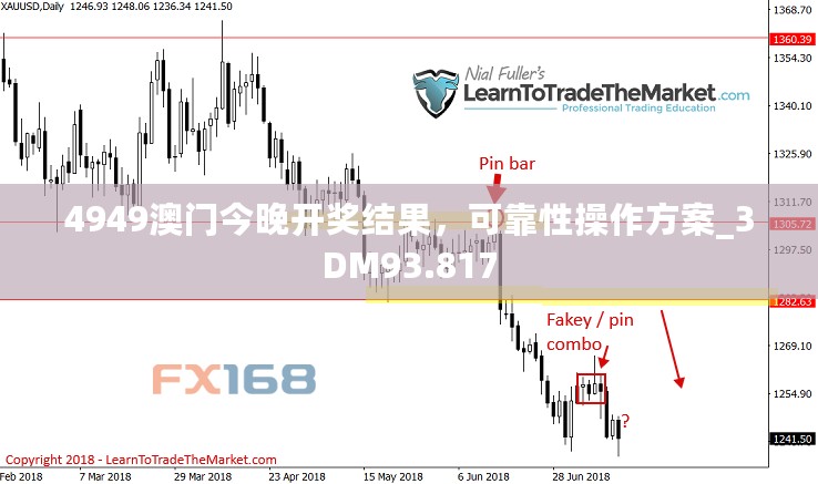 4949澳门今晚开奖结果，可靠性操作方案_3DM93.817