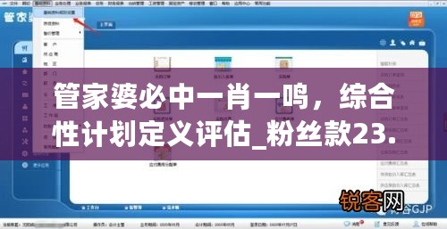 管家婆必中一肖一鸣，综合性计划定义评估_粉丝款23.246