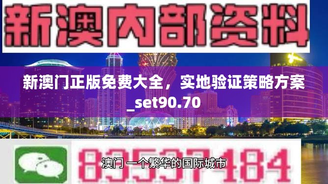 新澳门正版免费大全，实地验证策略方案_set90.70