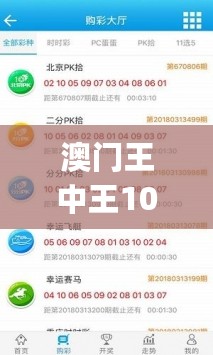 澳门王中王100%期期中一期，诠释说明解析_复刻版39.521