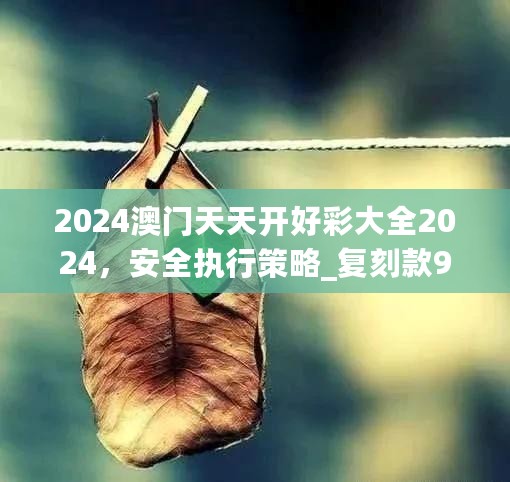 2024澳门天天开好彩大全2024，安全执行策略_复刻款96.827