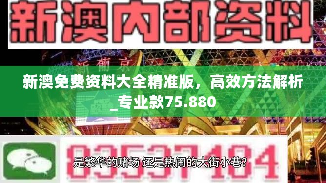 新澳免费资料大全精准版，高效方法解析_专业款75.880