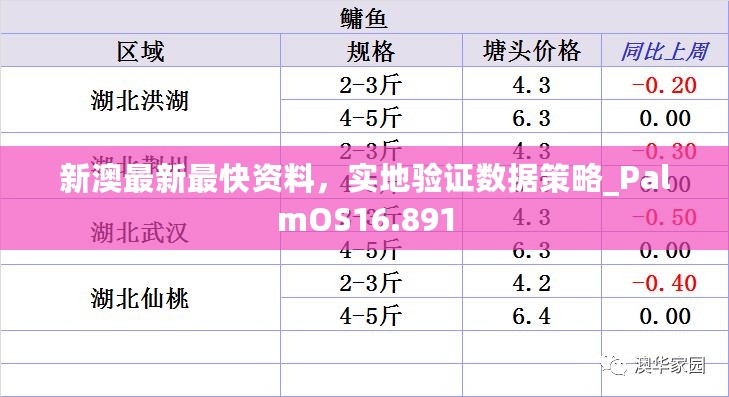 新澳最新最快资料，实地验证数据策略_PalmOS16.891