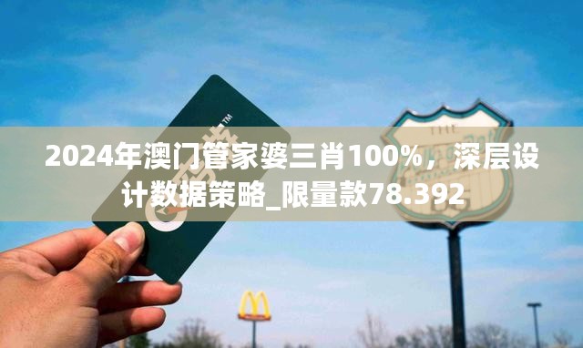 2024年澳门管家婆三肖100%，深层设计数据策略_限量款78.392