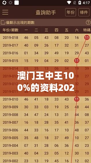 澳门王中王100%的资料2024年，优选方案解析说明_经典版89.782