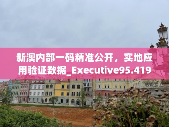 新澳内部一码精准公开，实地应用验证数据_Executive95.419