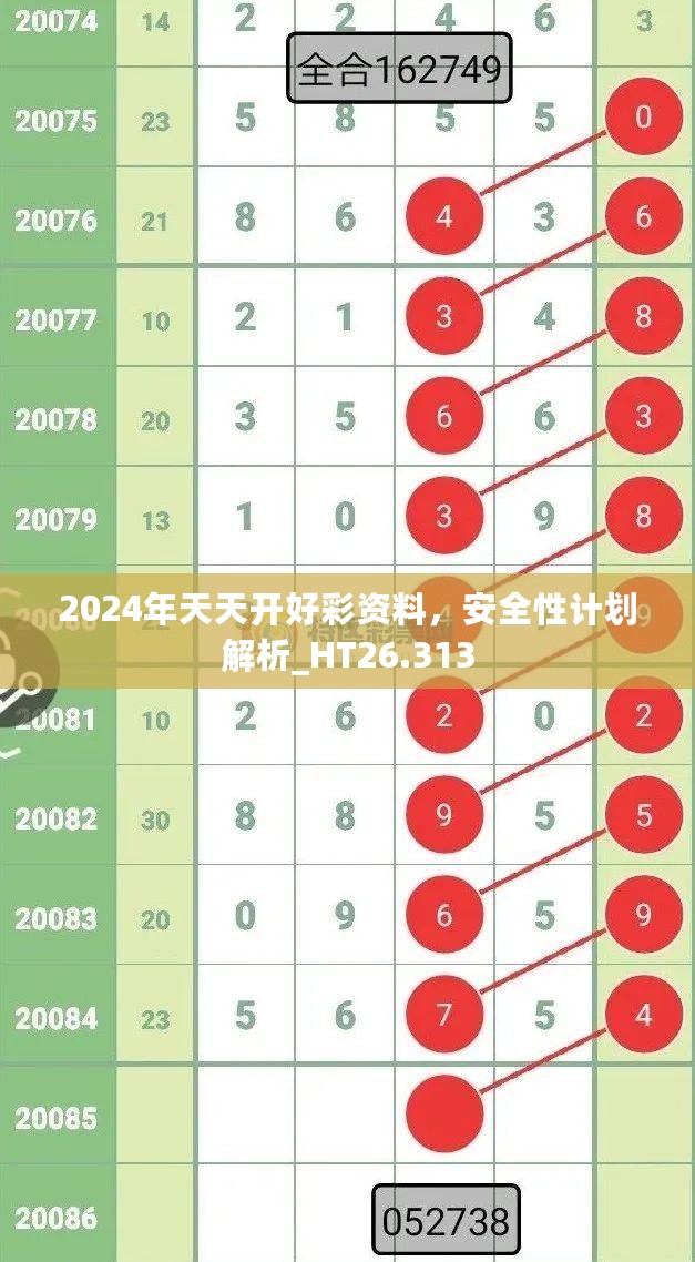 2024年天天开好彩资料，安全性计划解析_HT26.313