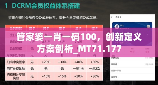 管家婆一肖一码100，创新定义方案剖析_MT71.177