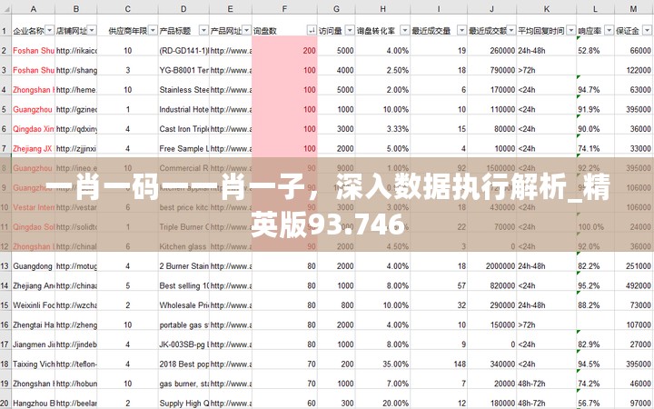 一肖一码一一肖一子，深入数据执行解析_精英版93.746