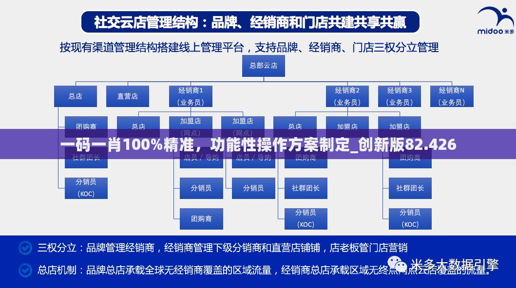 一码一肖100%精准，功能性操作方案制定_创新版82.426