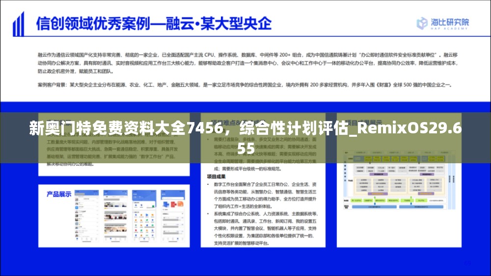 新奥门特免费资料大全7456，综合性计划评估_RemixOS29.655