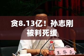 贪8.13亿！孙志刚被判死缓