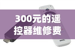 300元的遥控器维修费1776元