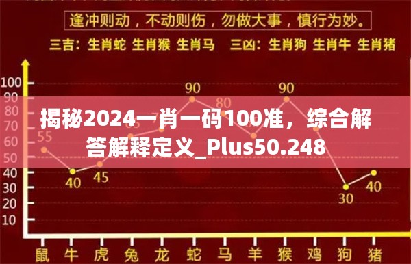 揭秘2024一肖一码100准，综合解答解释定义_Plus50.248