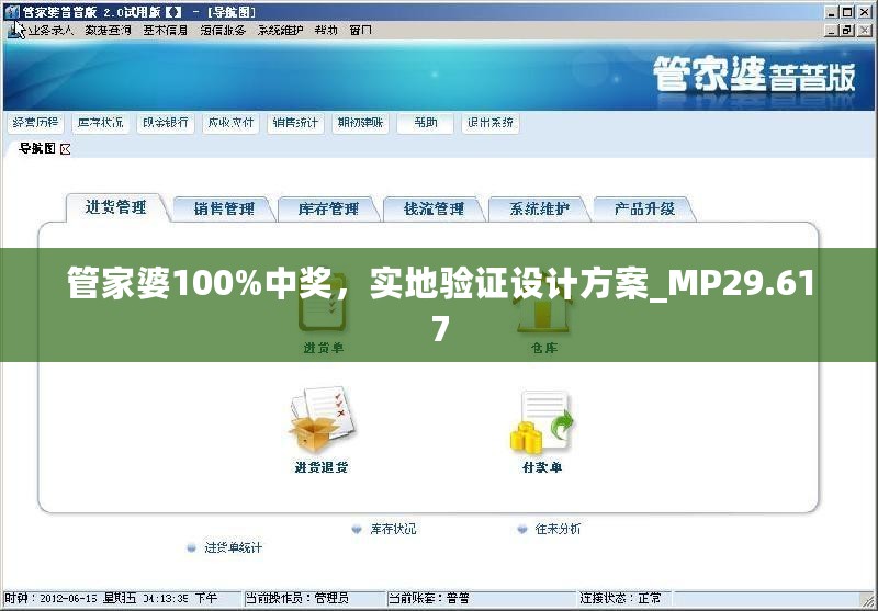 管家婆100%中奖，实地验证设计方案_MP29.617