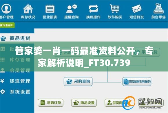 管家婆一肖一码最准资料公开，专家解析说明_FT30.739