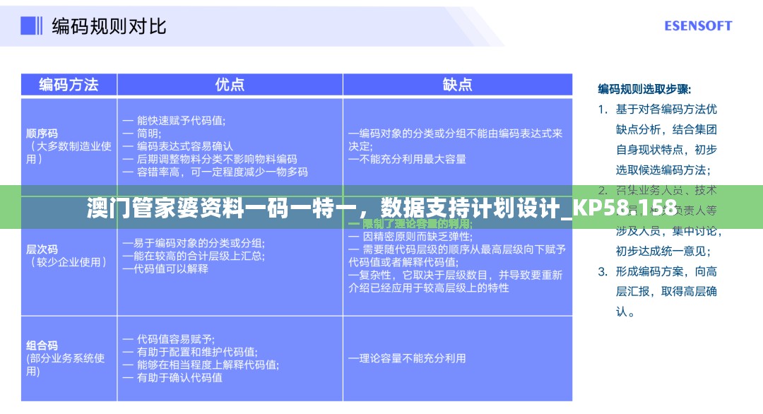 澳门管家婆资料一码一特一，数据支持计划设计_KP58.158