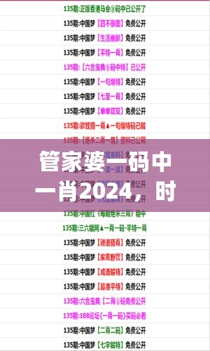 管家婆一码中一肖2024，时代解析说明_试用版57.936