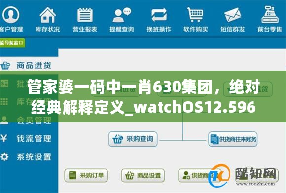 管家婆一码中一肖630集团，绝对经典解释定义_watchOS12.596