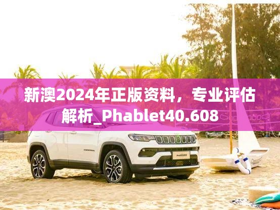 新澳2024年正版资料，专业评估解析_Phablet40.608