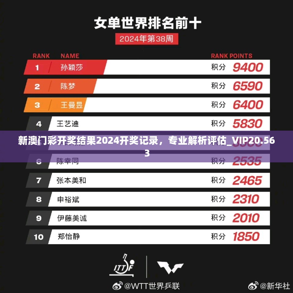 新澳门彩开奖结果2024开奖记录，专业解析评估_VIP20.563