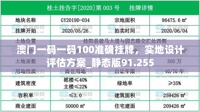 澳门一码一码100准确挂牌，实地设计评估方案_静态版91.255