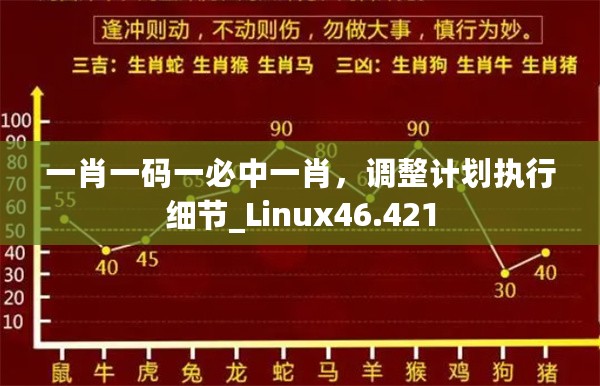 一肖一码一必中一肖，调整计划执行细节_Linux46.421