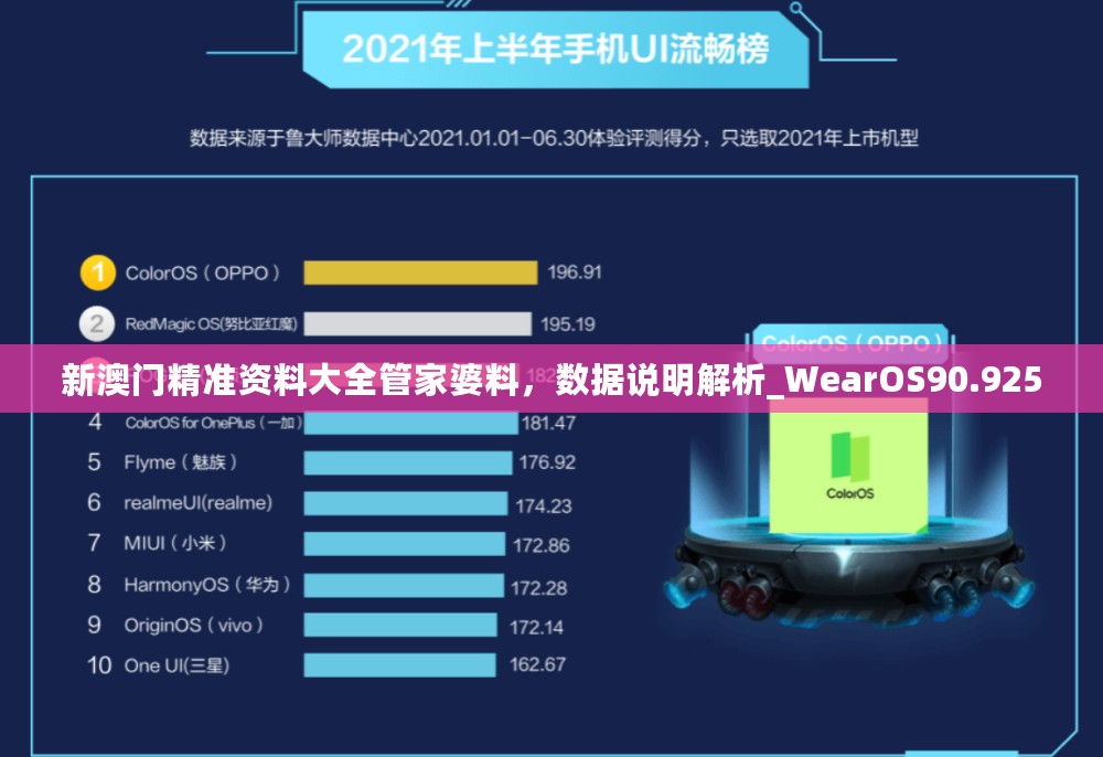 新澳门精准资料大全管家婆料，数据说明解析_WearOS90.925