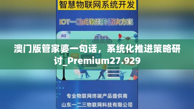 澳门版管家婆一句话，系统化推进策略研讨_Premium27.929