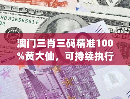 澳门三肖三码精准100%黄大仙，可持续执行探索_钱包版11.750