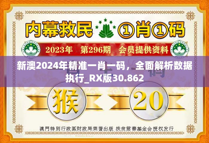 新澳2024年精准一肖一码，全面解析数据执行_RX版30.862