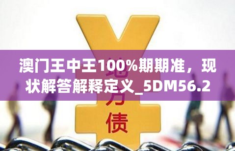 澳门王中王100%期期准，现状解答解释定义_5DM56.274